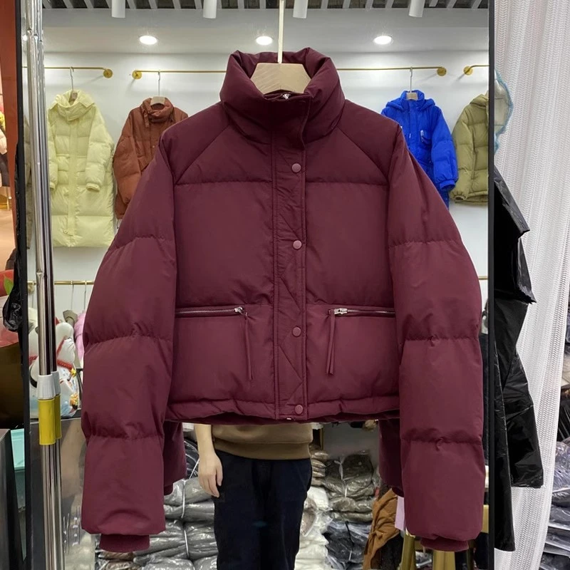 短款棉服外套女冬季2024面包服宽松立领小个子棉衣