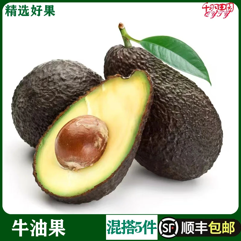 云南新鲜牛油果1个装巨无霸大果鲜水果鳄梨沙拉食材单果150g-180g