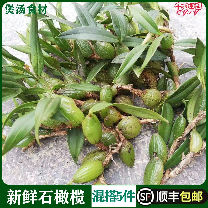 石橄榄草单叶小号新鲜石仙桃果福建煲汤材料炖汤现摘现发250g
