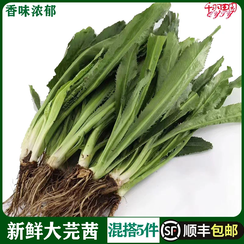 新鲜泰国香菜250g刺芫荽大香菜刺芹洋鹅芥假芫茜元西香料越南烹饪