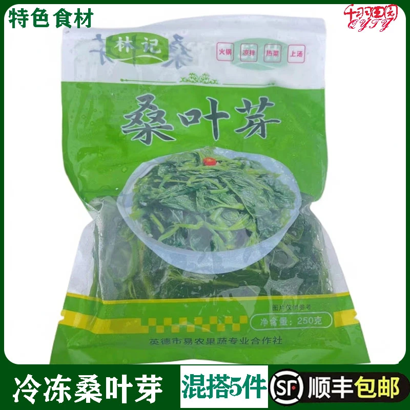 桑叶芽新鲜冷冻桑叶苗桑叶菜嫩桑叶食用桑叶特色桑芽菜餐饮商用