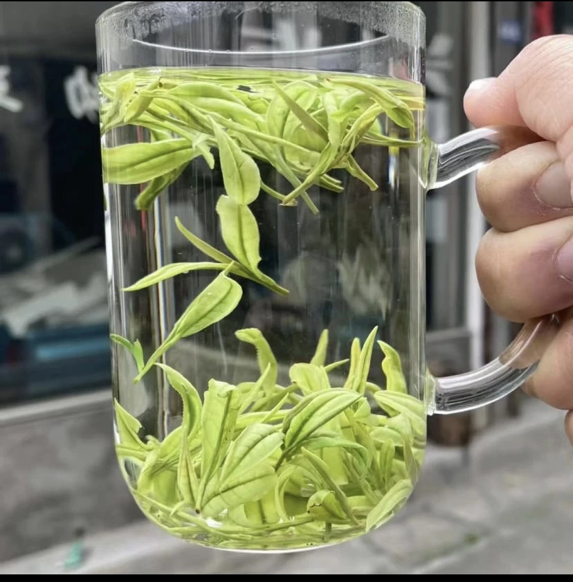 【高白化度小芽头】溪龙黄杜村高山特白 新茶鲜爽回甘兰花香