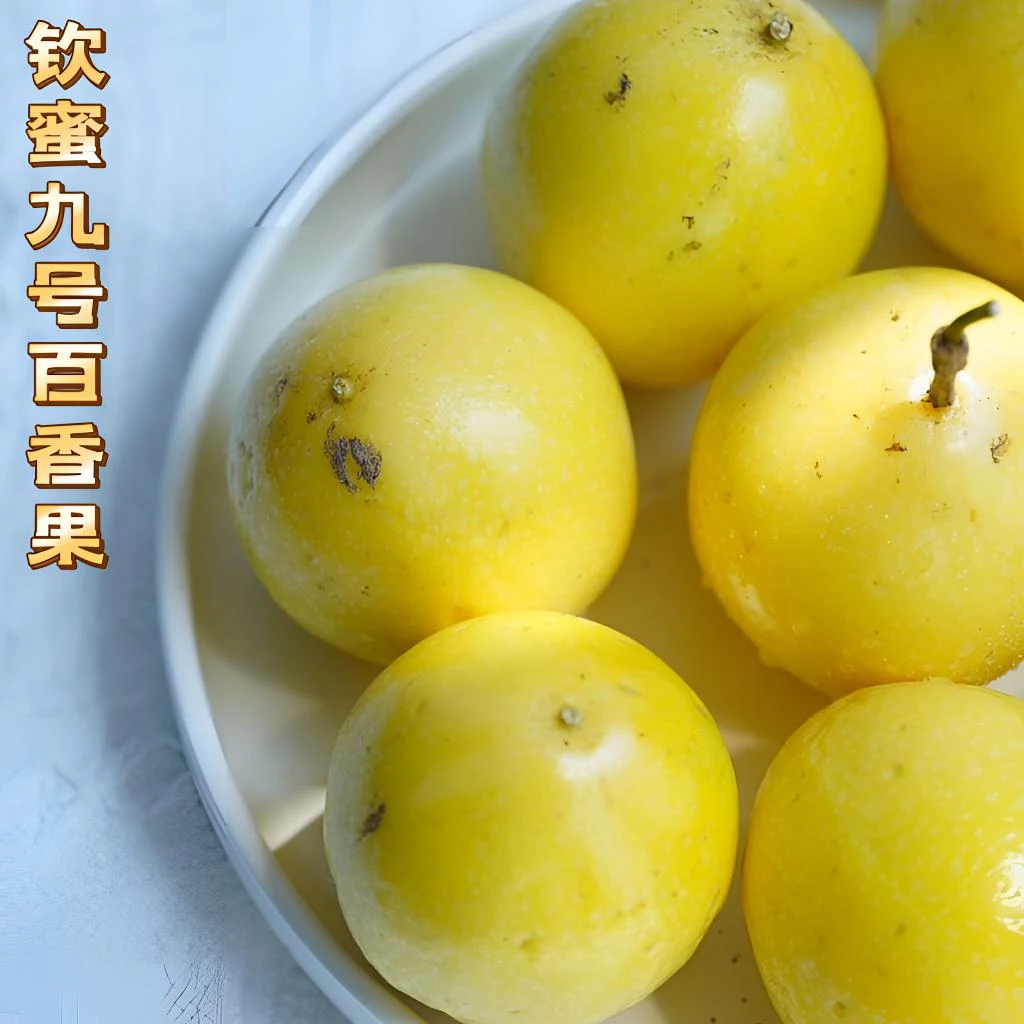 广西钦蜜九号百香果黄金百香果产地直发果香浓郁汁水丰富