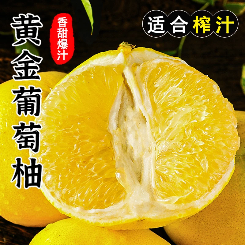 正宗福建黄金葡萄柚精品果浓郁葡萄柚爆汁柚子现摘适合榨汁