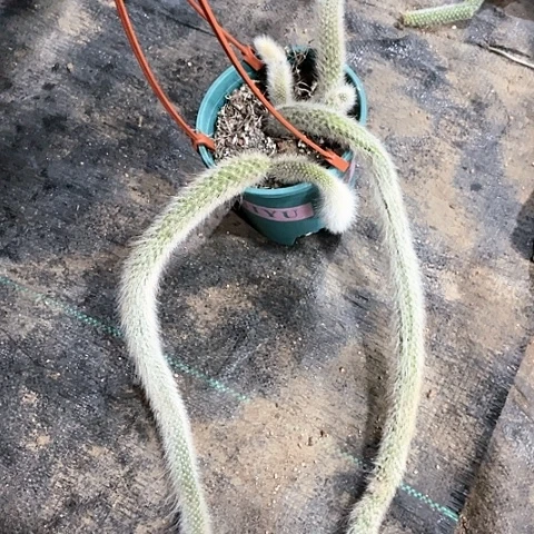 空***兰你好随单的哈哈哈哈哈