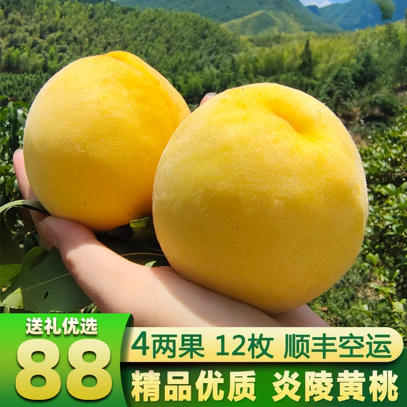 正宗湖南炎陵黄桃高山红心脆甜现摘孕妇新鲜水果礼盒株洲特产送礼