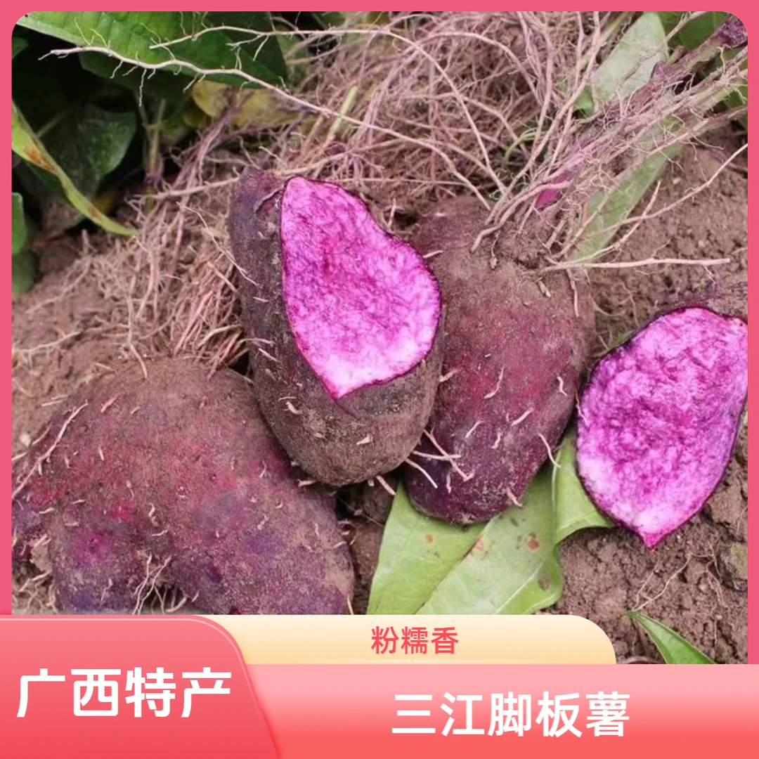 广西柳州三江农家脚板薯