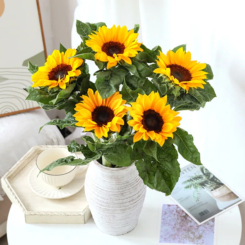 油画奶油泰迪向日葵鲜花云南昆明基地直发瓶插太阳花束高考毕业季