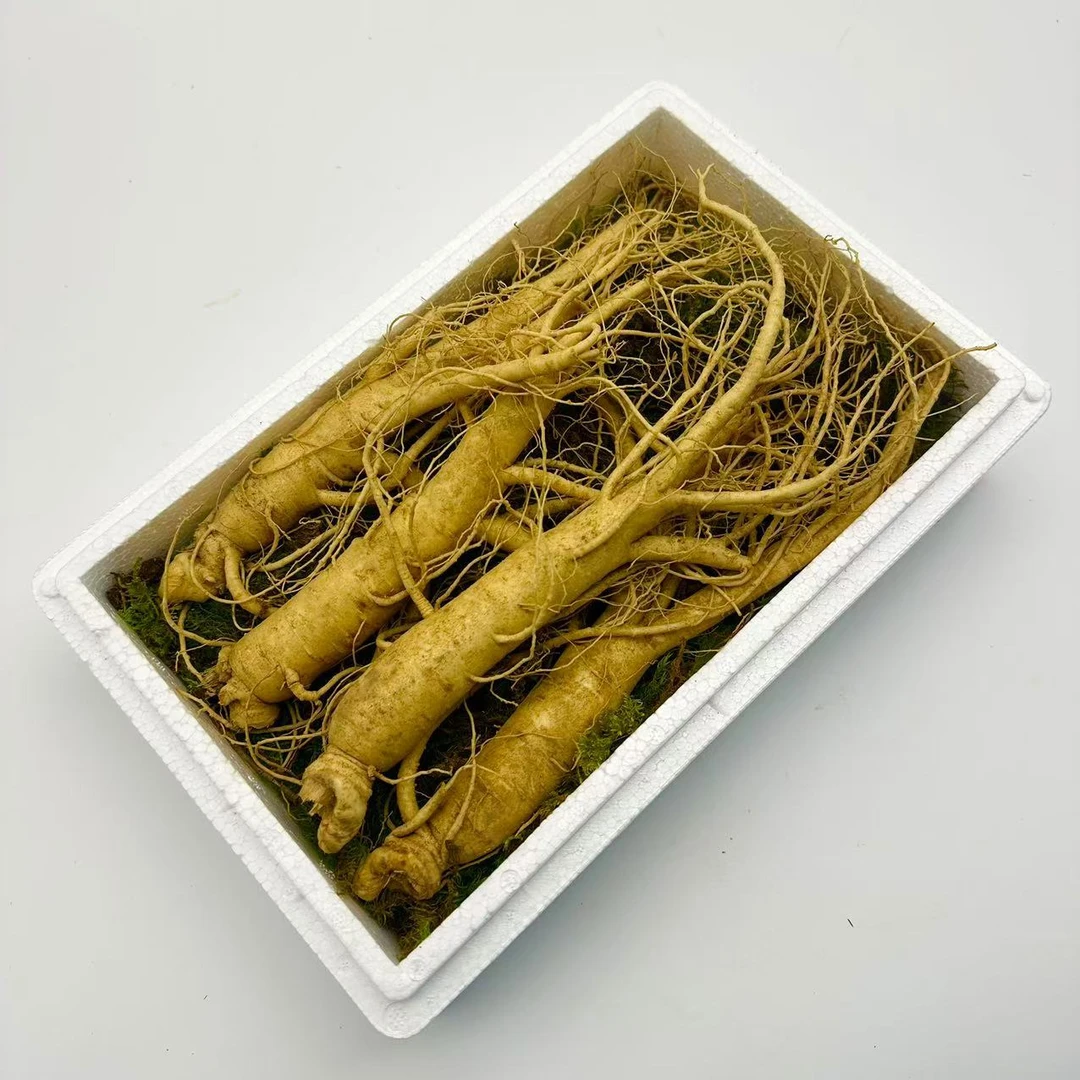 【长白山新鲜人参】4支装 280克送种子送刷子