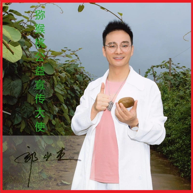 周至徐香猕猴桃24枚 单果90-110克 绿心奇异果当季新鲜水果-G