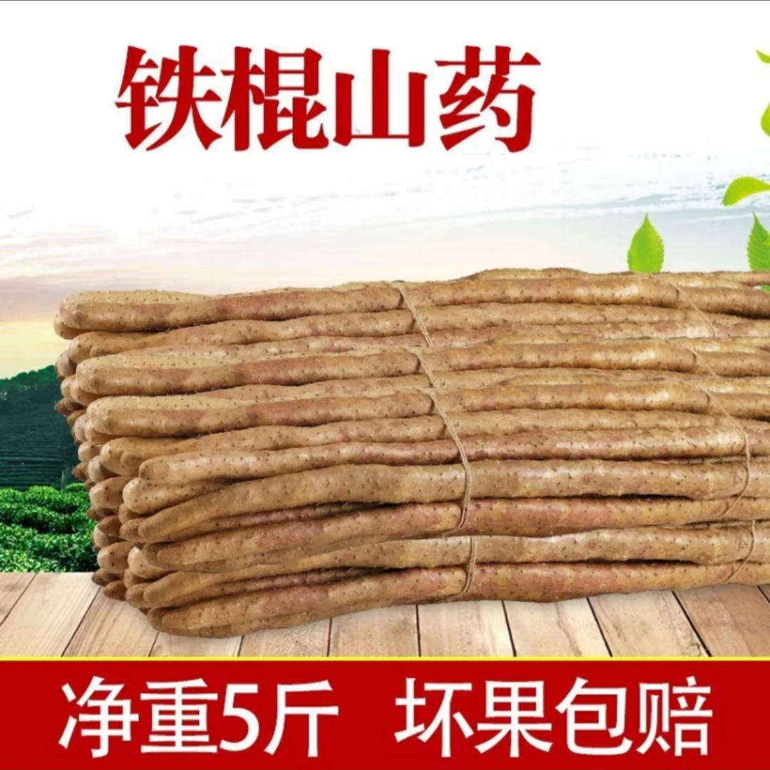 正宗铁棍山药新鲜现挖带土47公分左右山药优质营养多种香甜好吃