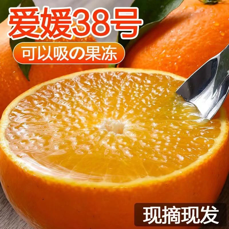 周天佑果园爱媛38号果冻橙 现摘现发5/8斤装新鲜应季水果
