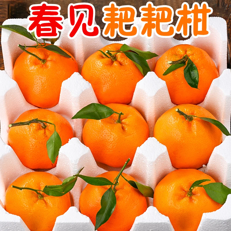 周天佑果园四川乐山耙耙柑皮薄香甜爆汁8斤/9斤装新鲜水果应季