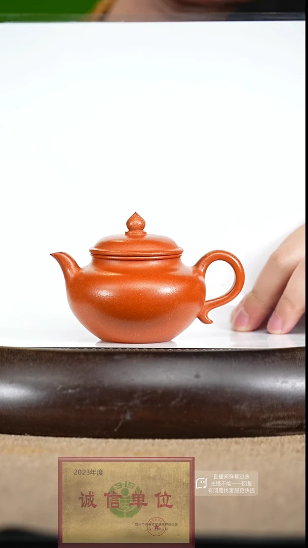 【闪购商品】紫砂茶壶4  紫砂茶壶