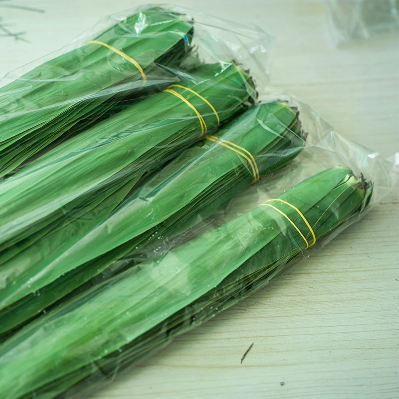 白洋淀新鲜芦苇叶端午节天然野生粽子叶200片500g粽子叶现摘现发