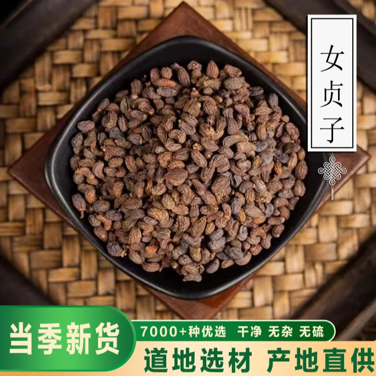 骞昇药业【女贞子】正宗可搭配续断 沙苑子  正宗女贞子茶