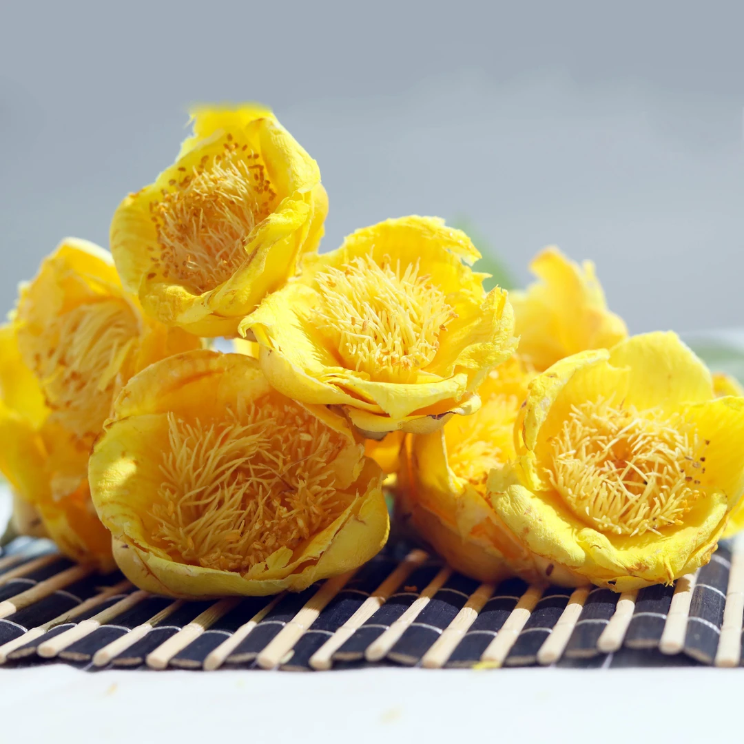 小雅好货推荐【金茶花】云南山货 现收现卖 大山精品