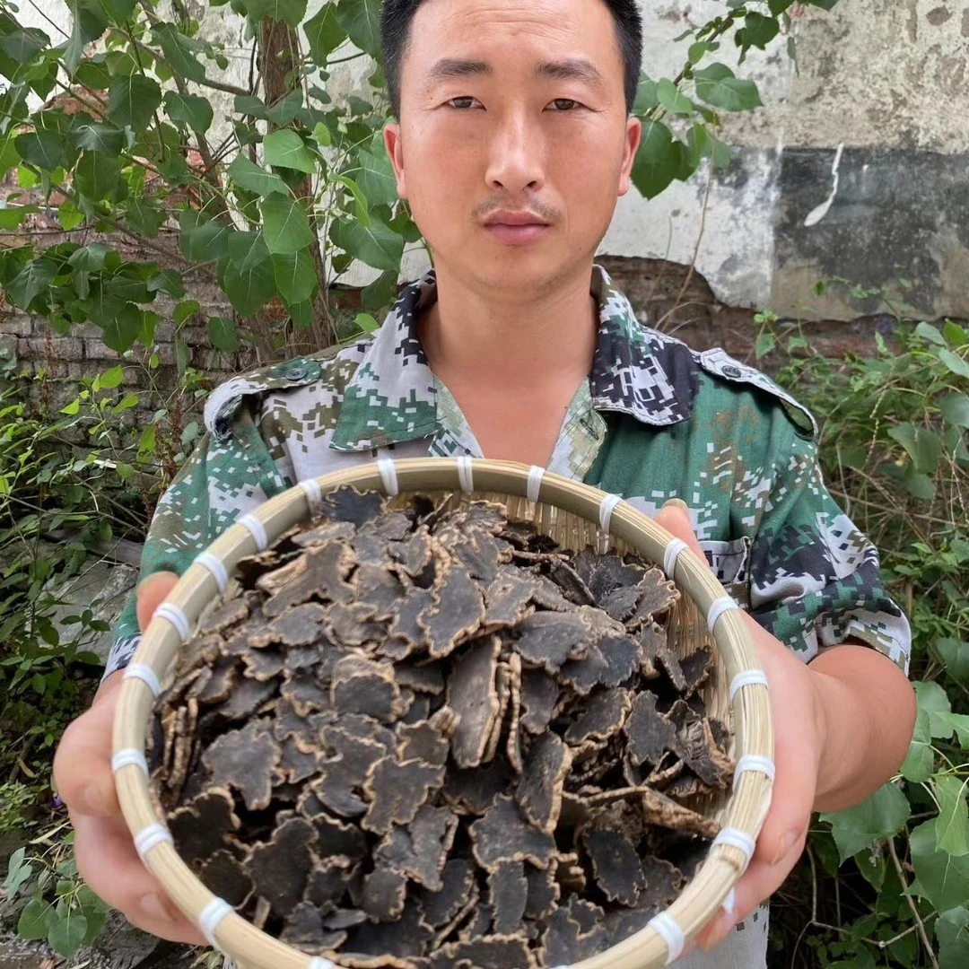 玄参 浙江玄参 磐安县元参 种植切片手工选货包邮