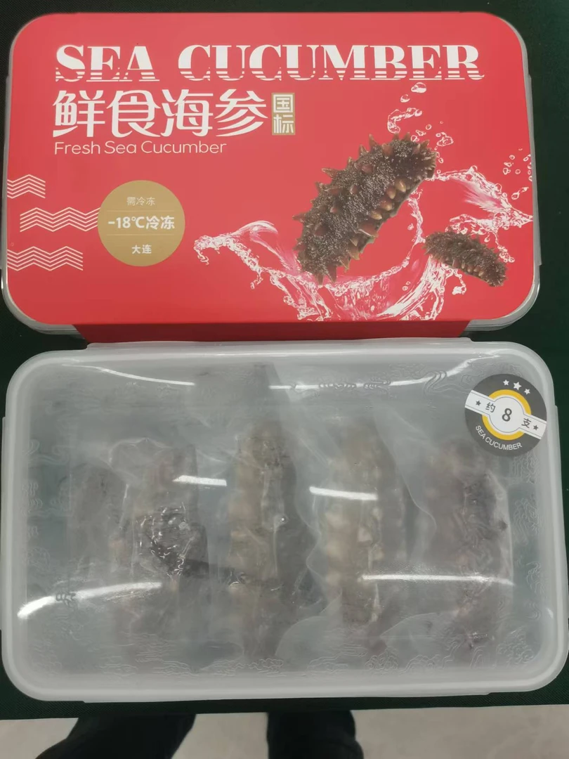 【竹哥甄选大连刺参】大连深海辽刺参鲜食海参暢销款买即有送
