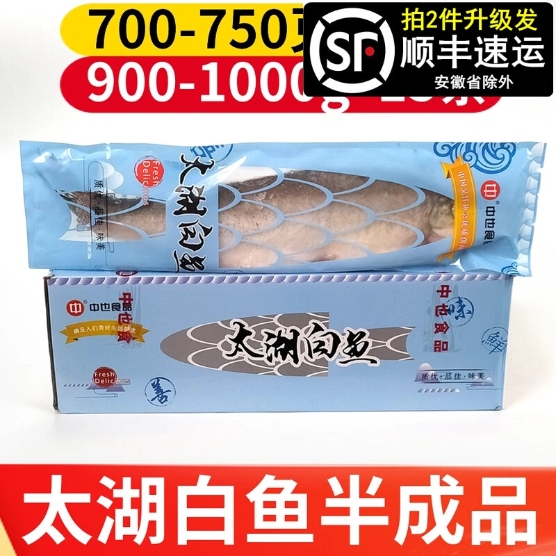 太湖白鱼半成品白条鱼新鲜大白鱼冷冻白丝鱼腌制白水鱼整箱商用
