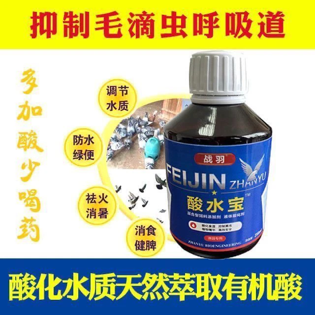 战羽酸水宝250ml赛信鸽子用品 肠道毛滴虫球虫防鸽子感冒鸽子赛鸽