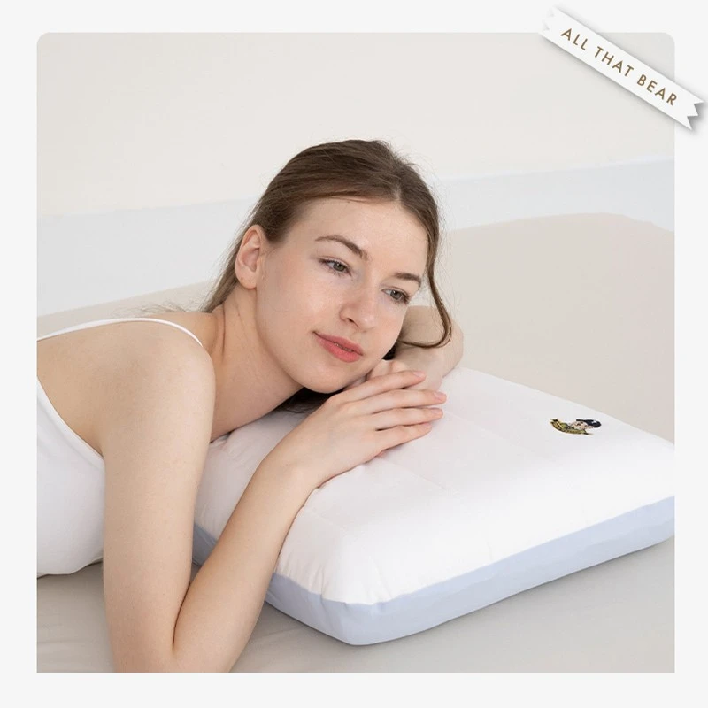 Teenie Weenie记忆枕头记忆棉枕头枕零压护颈椎专用助睡眠枕芯C