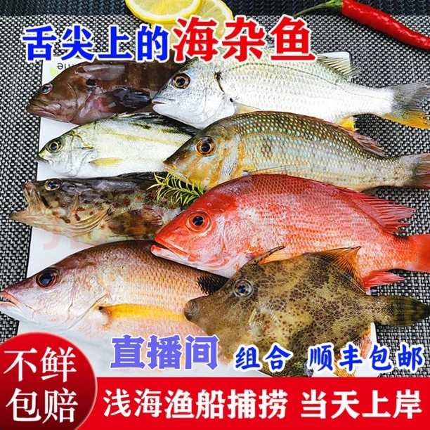 惠来神泉野生海鲜 直播间套餐 所见即所得 即时改价