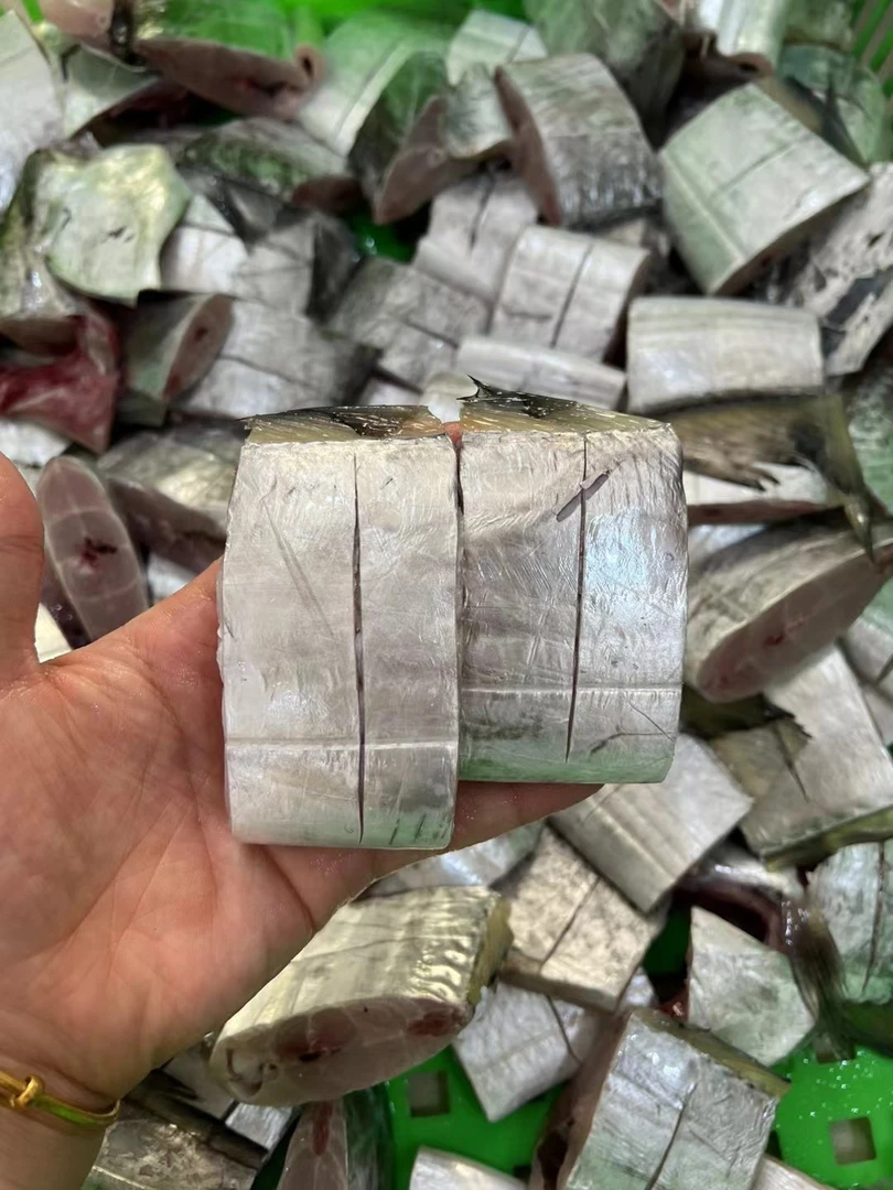 惠来神泉本港野生黄棕带