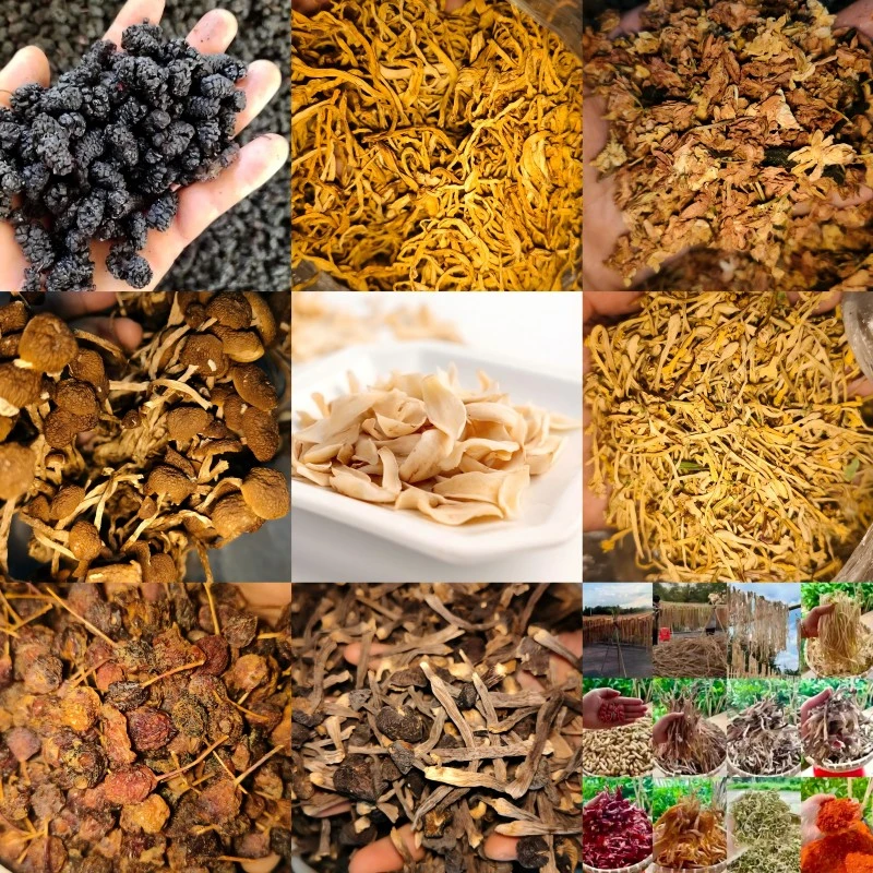 【跑山嬢嬢】 农家特产代收山货 干货类 花茶类