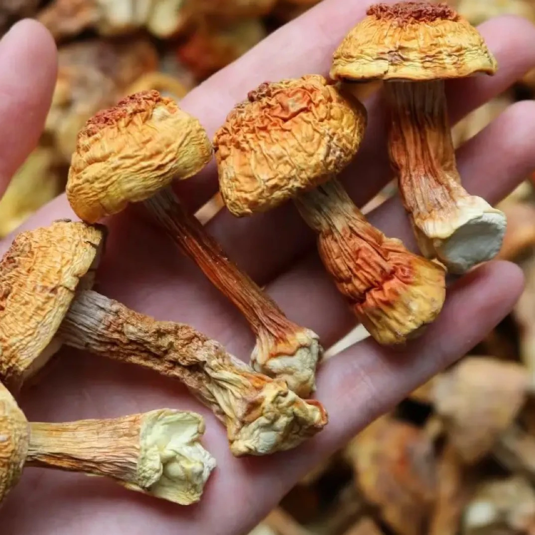 （涛涛和芳芳）代收干货特产姬松茸250g