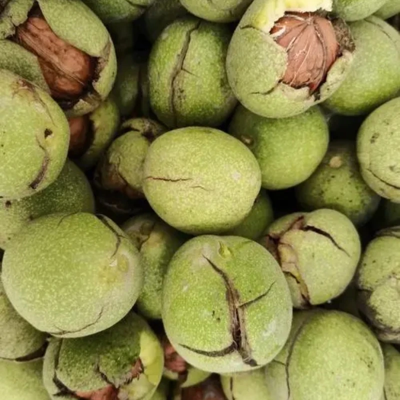 【小鑫】 农家特产代收山货新鲜核桃