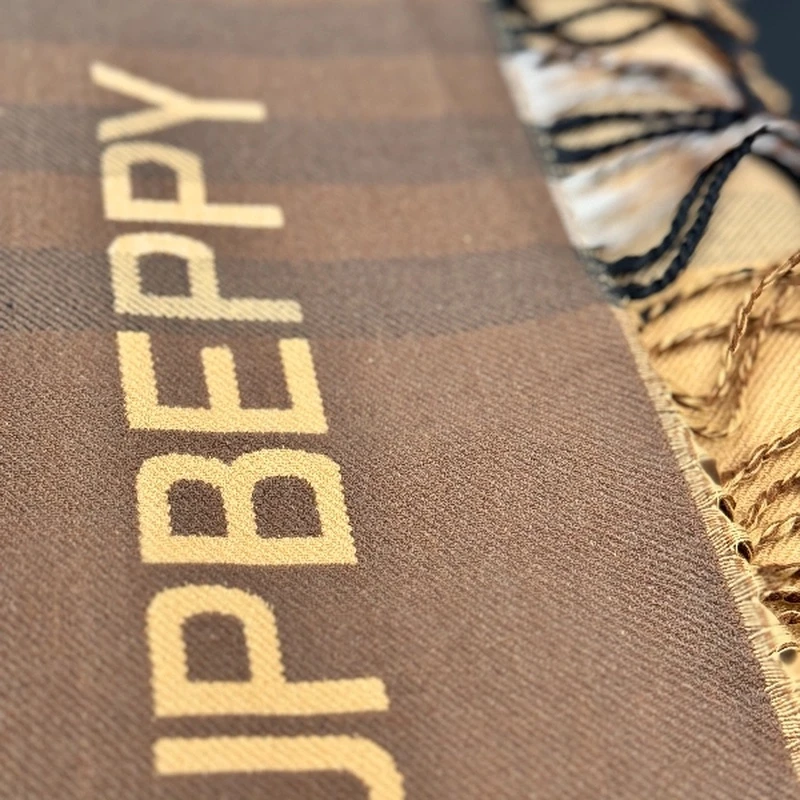 (796)2024新款轻奢高定绒流苏围巾时尚百搭秋冬季男女同款