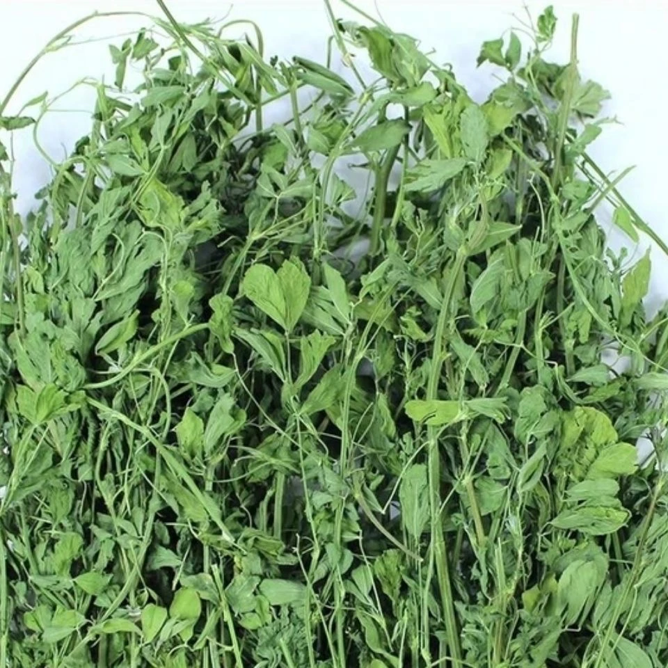 紫花苜蓿草烘干苜蓿草900g/箱幼兔兔粮饲料牧草干草兔子高纤维
