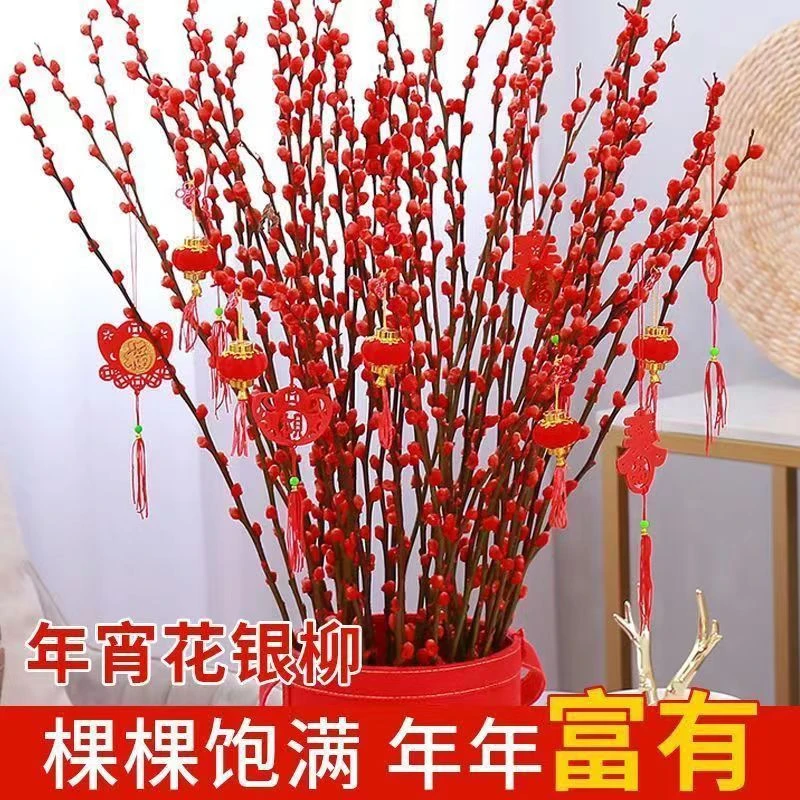 招财银柳干花真花鲜枝水培植物红色银柳年宵花卉福桶客厅室内装饰