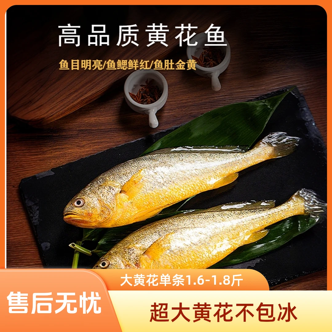 【冰鲜特大黄花】到手三大条 1.6-1.8