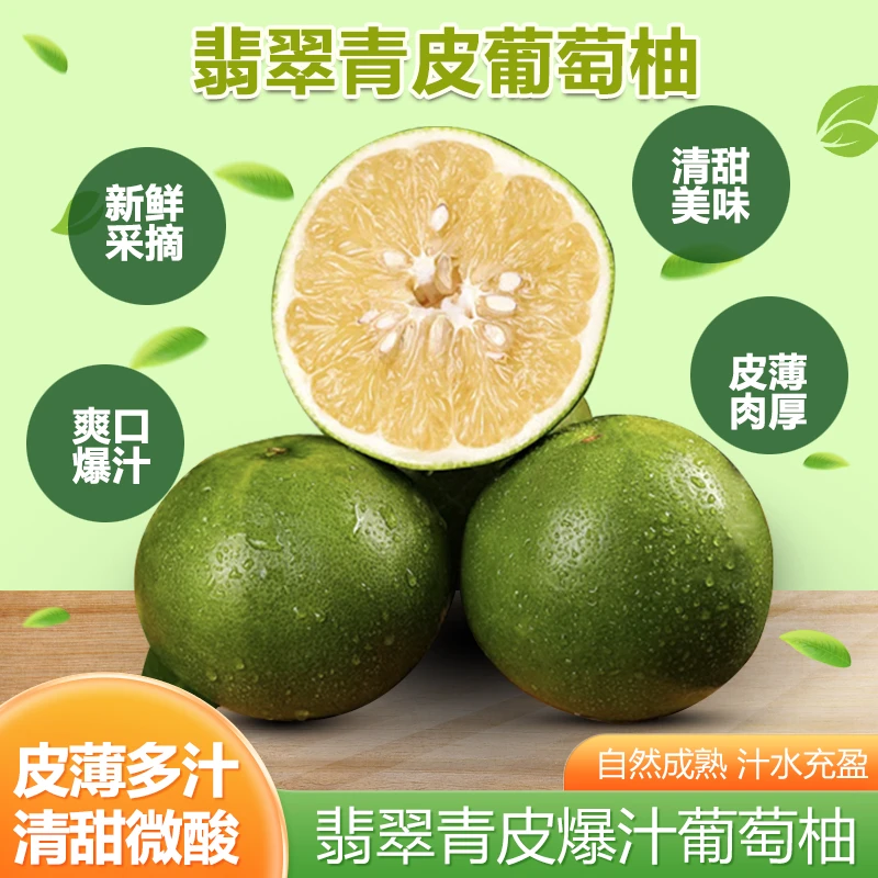 【晨晨推荐】福建平和翡翠青皮爆汁葡萄柚子2.8-9斤 应季新鲜水果