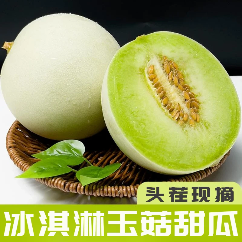 山东冰淇淋玉菇甜瓜 香甜多汁 1.9-9斤 头茬新鲜应季水果蜜瓜TZ