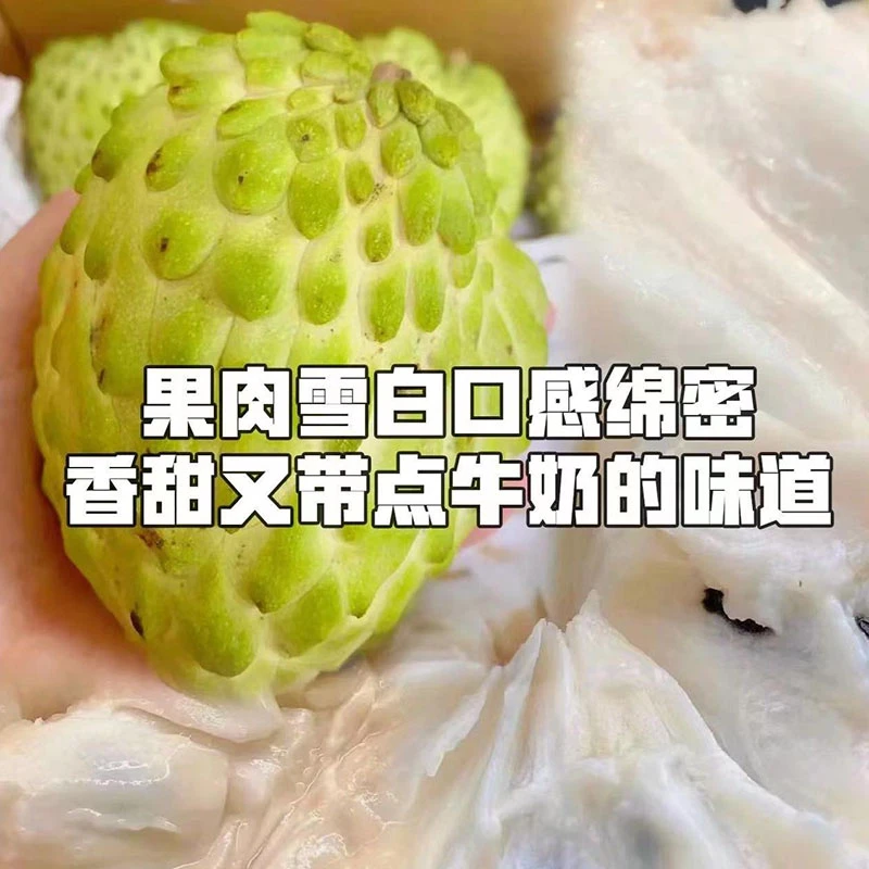凤梨释迦果3/5斤冰淇淋牛奶番荔枝当季台湾佛头摩尼果新鲜顺丰邮