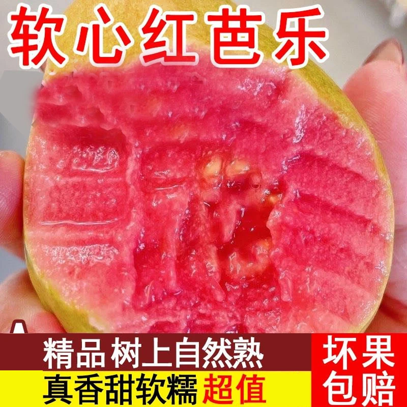 广西正宗软心红心芭乐1-5斤番石榴软糯香甜新鲜应季水果整箱包邮