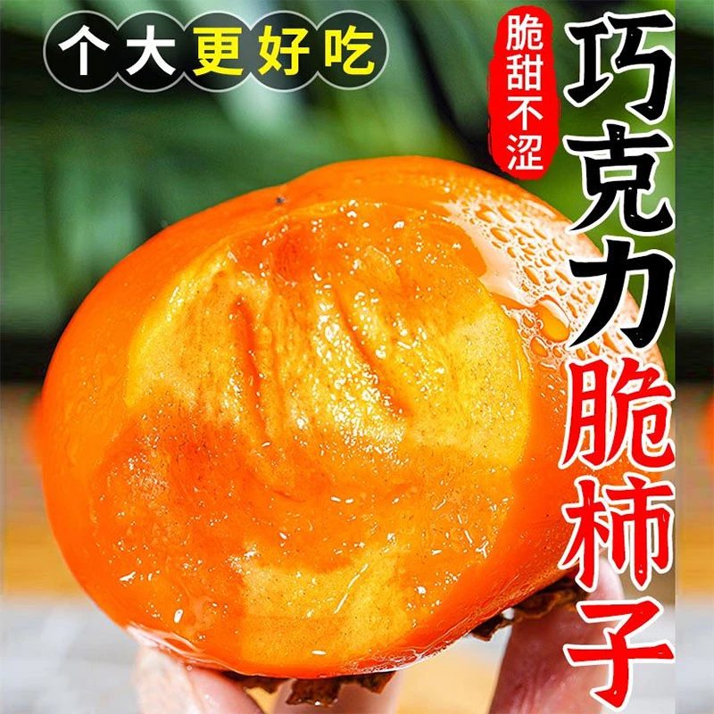 巧克力脆柿子2-5斤水果新鲜当季整箱包邮大果黄硬甜脆火晶柿子甜