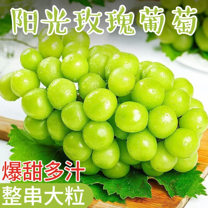 巧域阳光玫瑰 整箱1.5Kg  新鲜水果 颗粒饱满