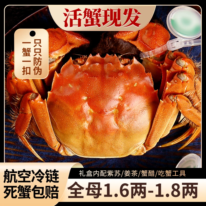 【活蟹】澄香缘精品河蟹全母1.8两-1.6两16只螃蟹鲜活现货礼盒装