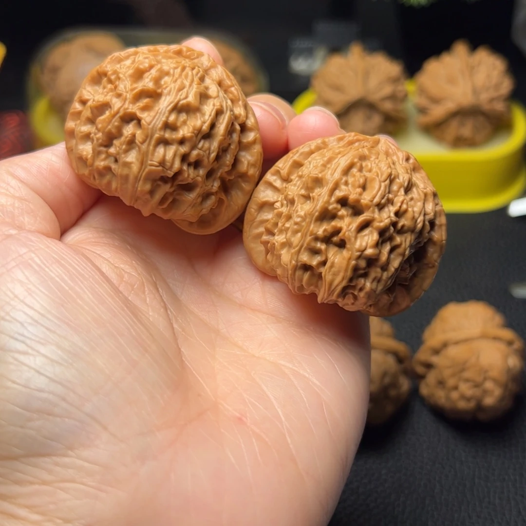 文玩核桃把件白狮子