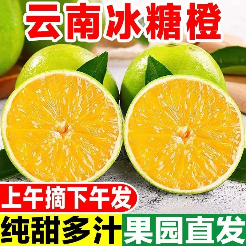 云南冰糖橙当季新鲜水果甜橙子现摘现发高山绿皮冰糖橙产地直发橙