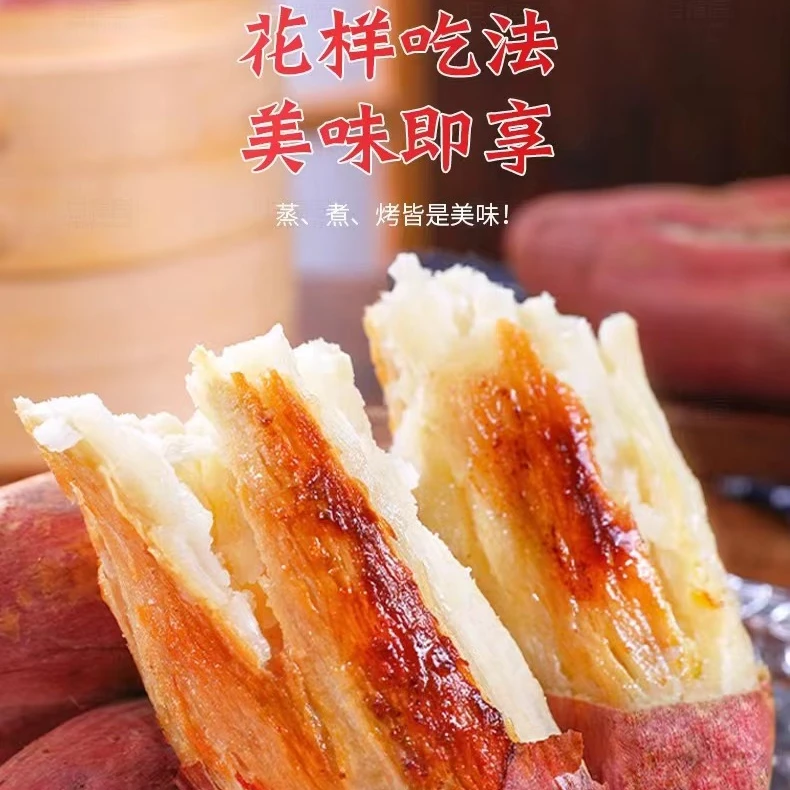 哈密冰糖蜜薯番薯粉糯香甜软糯香甜白心肉厚皮薄老少皆宜美味红薯