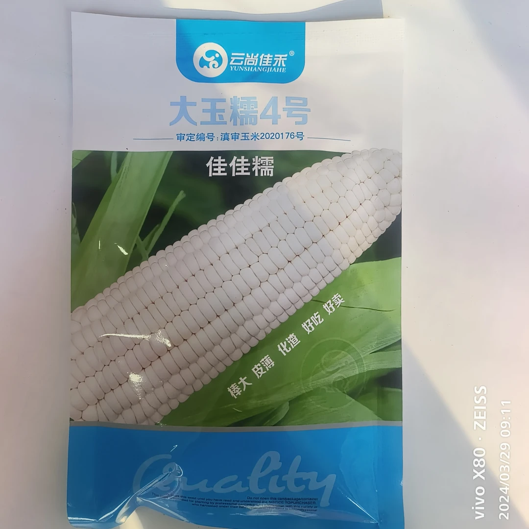 优质糯玉米种，口感甜糯，口味好，产量高，可大面积种植