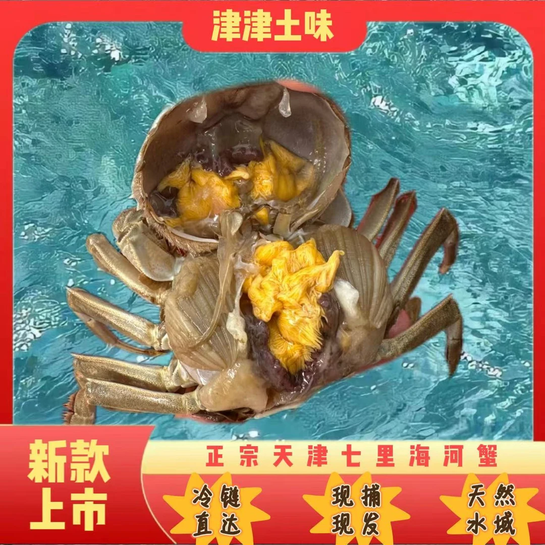 【活蟹现发】正宗精品七里海螃蟹公蟹母蟹混搭（2.7-3两）10-11只