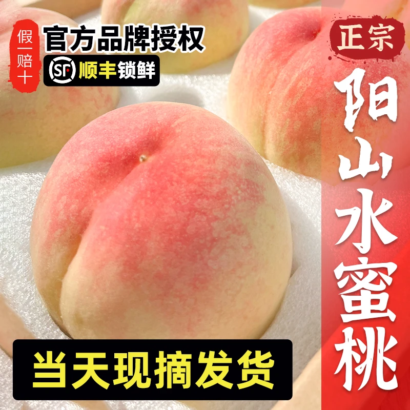 正宗阳山水蜜桃5两8枚礼盒装新鲜夏日白凤桃