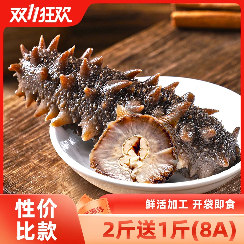上成堂大连鲜食即食海参买2斤送1斤【双十一钜惠】顺丰包邮5-6头/斤