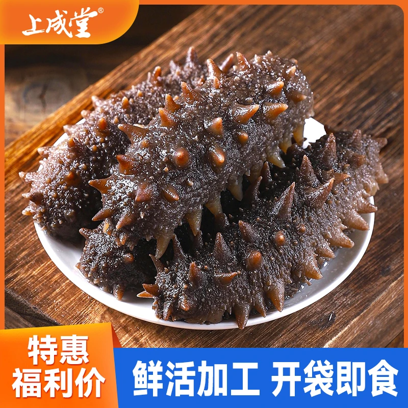 海参冻品大连上成堂礼盒装4斤即食海参（5-6头/500g）